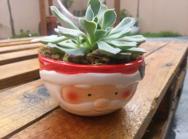 Lembrança de natal