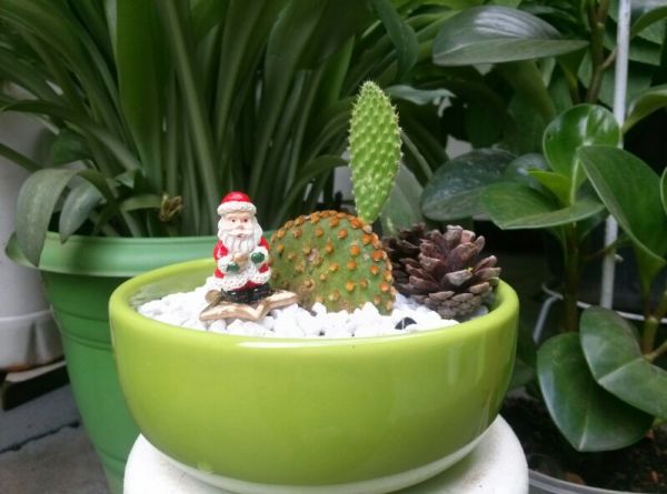 terrario aberto de porcelana para Natal