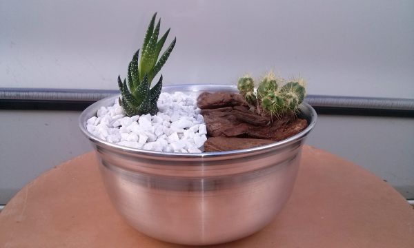 terrario para decorar lavabo