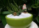 terrario aberto de porcelana para Natal