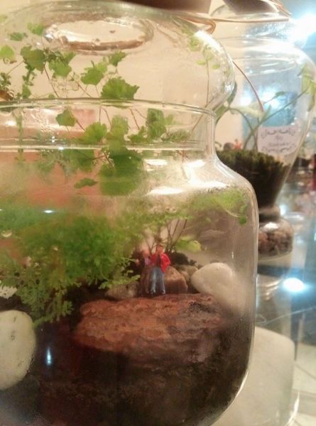 Amor, paixão...terrário temático!