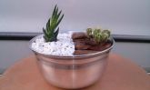 terrario para decorar lavabo
